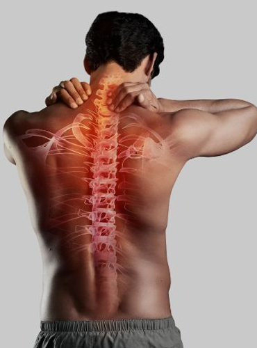 Orthopedic & Musculoskeletal Conditions